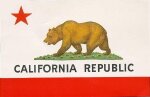 Le grizzly, emblème de la Californie